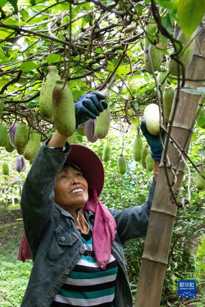 皇冠同级别